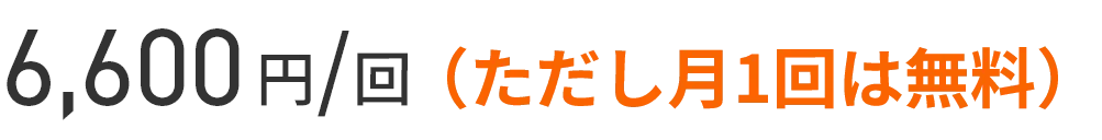 6,600円／回（ただし月1回は無料）