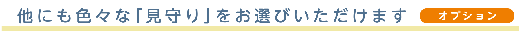 他にも色々な「見守り」をお選びいただけます オプション