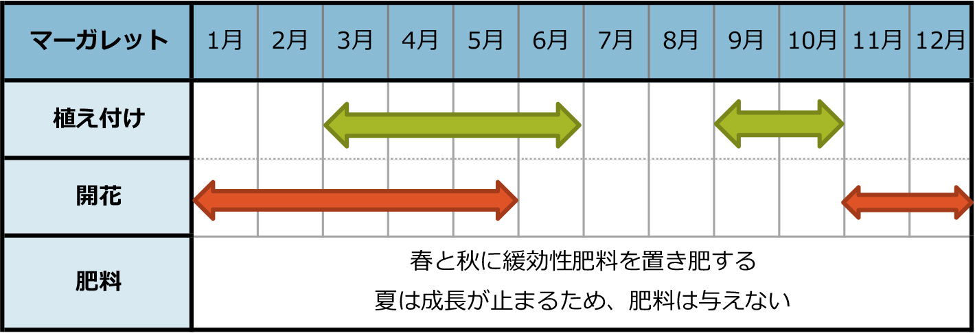 マーガレットのカレンダー