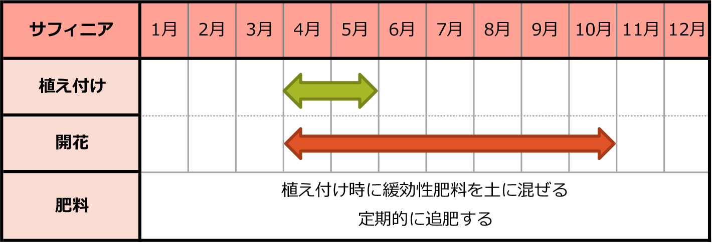 サフィニアのカレンダー