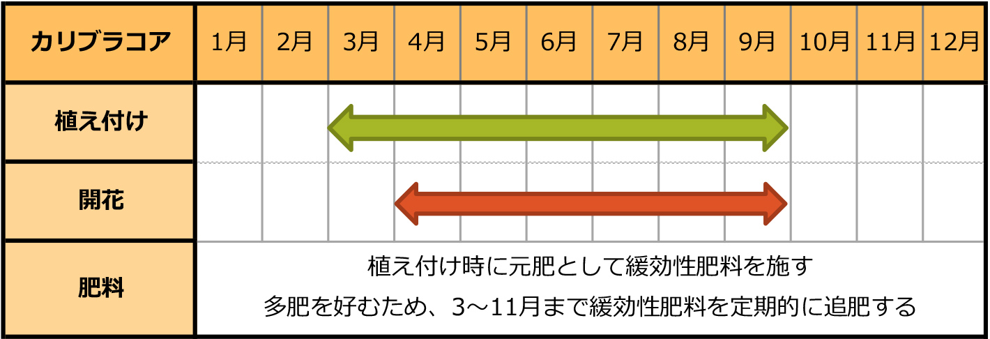 カリブラコアのカレンダー