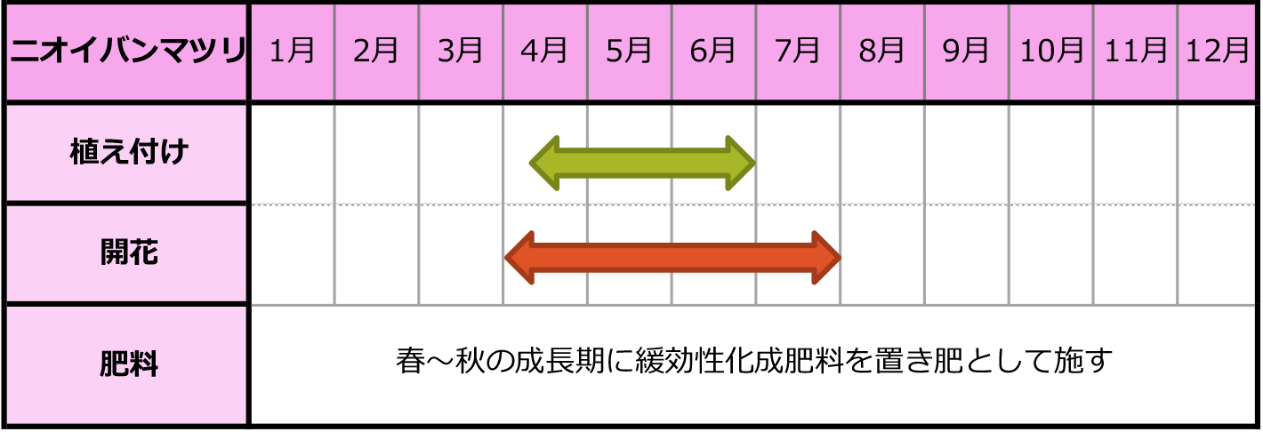 ニオイバンマツリのカレンダー