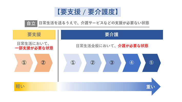 要支援 / 要介護度